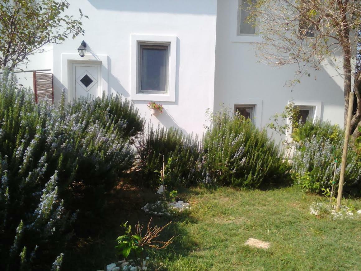 Apartments Lovor Silba Buitenkant foto