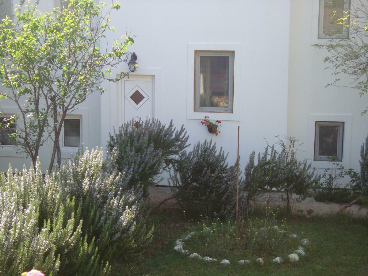 Apartments Lovor Silba Buitenkant foto