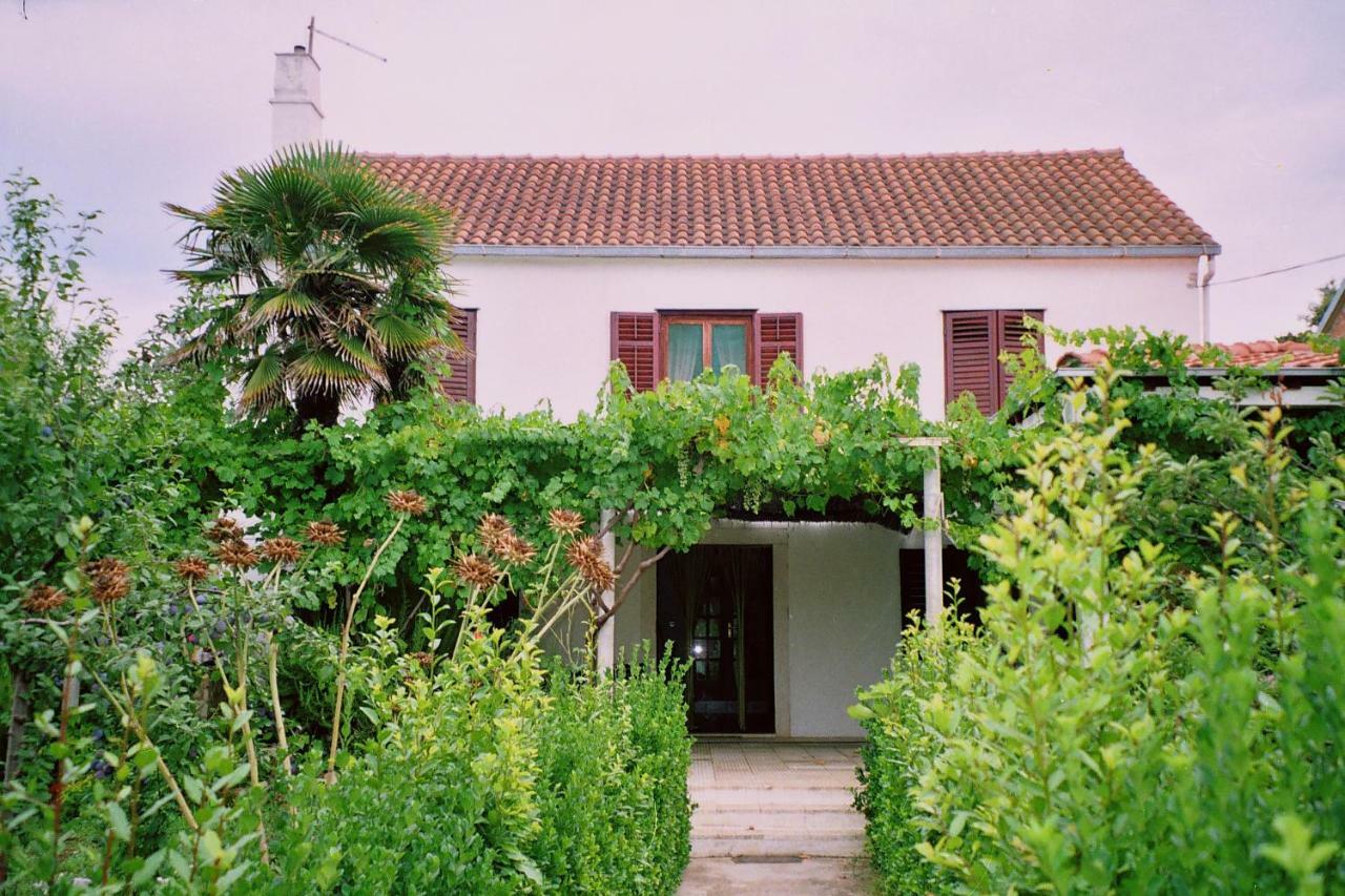Apartments Lovor Silba Buitenkant foto